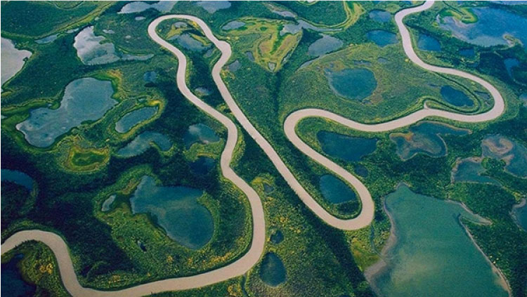 Sông Amazon với chiều dài 6.400 km (3.976 mi)