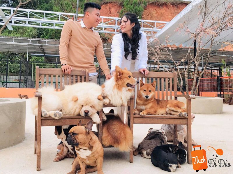 Puppy Farm xinh đẹp nằm trên đường Cam Ly, thôn Măng Lin, TP Đà Lạt.
