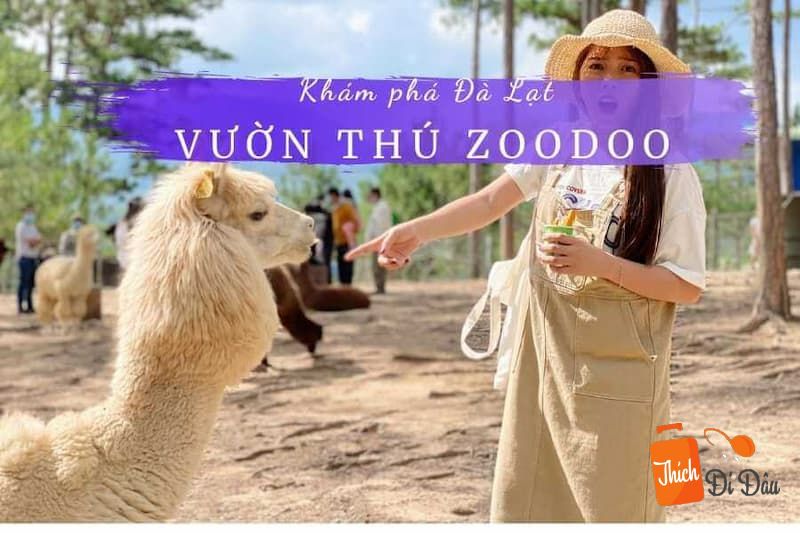 Giới thiệu về vườn thú Zoodoo Đà Lạt