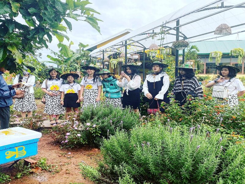 Khách du lịch thích thú khám phá trang trại ong Đà Lạt.