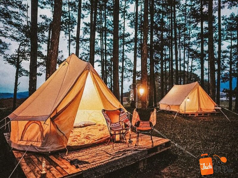 Đà Lạt là nơi có thiên nhiên hữu tình rất phù hợp để cắm trại qua đêm.
