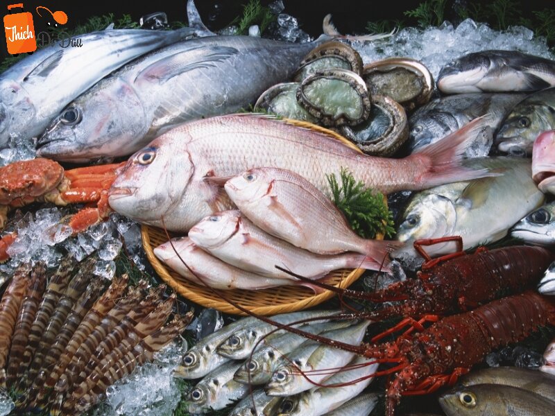 Khám phá 6 chợ hải sản Hạ Long chất lượng, giá rẻ không thể bỏ qua