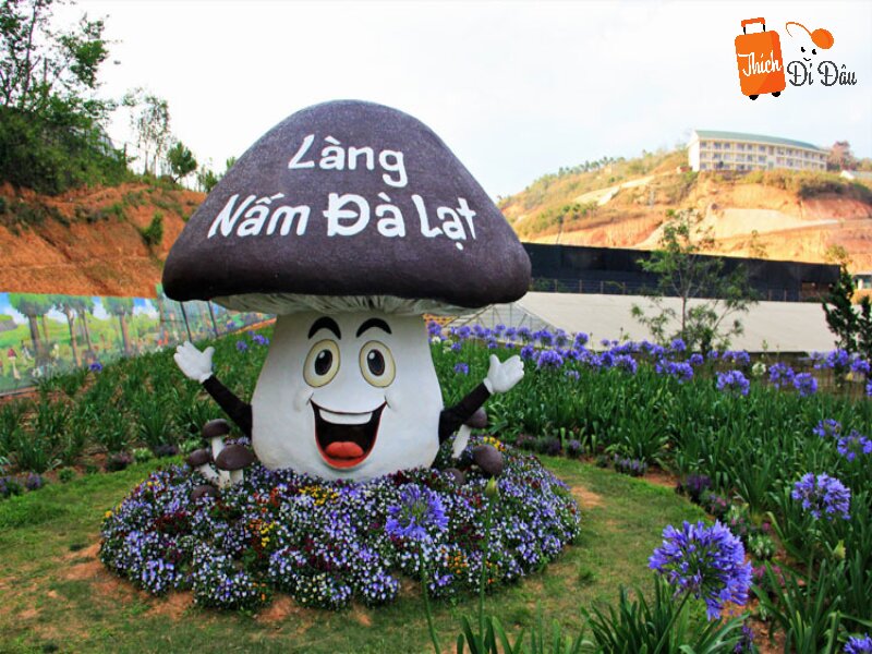 Trại Nấm là điểm tham quan thu hút nhiều du khách khi đến với Đà Lạt. 