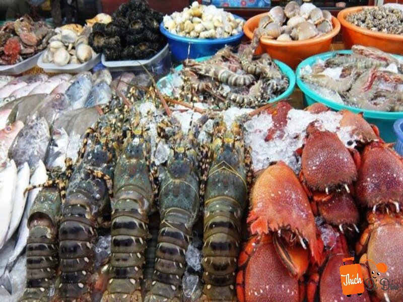 Các loại hải sản đa dạng, hấp dẫn tại các khu chợ Hạ Long.