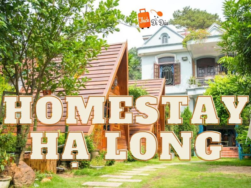 Top 10 Homestay Hạ Long Vừa Đẹp Vừa Rẻ ( Cập Nhật 2023)