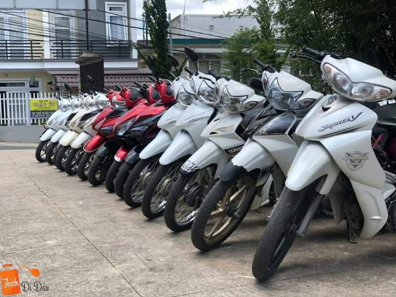 Cửa hàng cho thuê xe máy Bãi Cháy - Cửa hàng Ruby’s Motorbike Rentals